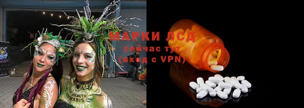 ПСИЛОЦИБИНОВЫЕ ГРИБЫ Беломорск