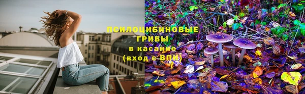 прущая мука Строитель