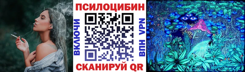 Галлюциногенные грибы MAGIC MUSHROOMS  blacksprut как войти  Верещагино 