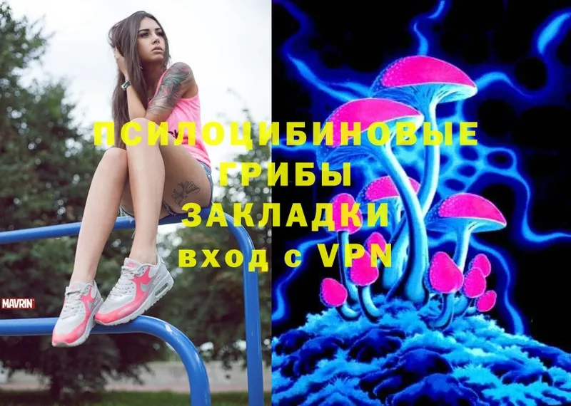 Псилоцибиновые грибы Psilocybe  где найти   Верещагино 